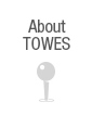 About TOWES