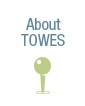 About TOWES