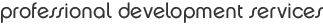 professional development services