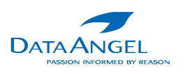 data-angel-logo