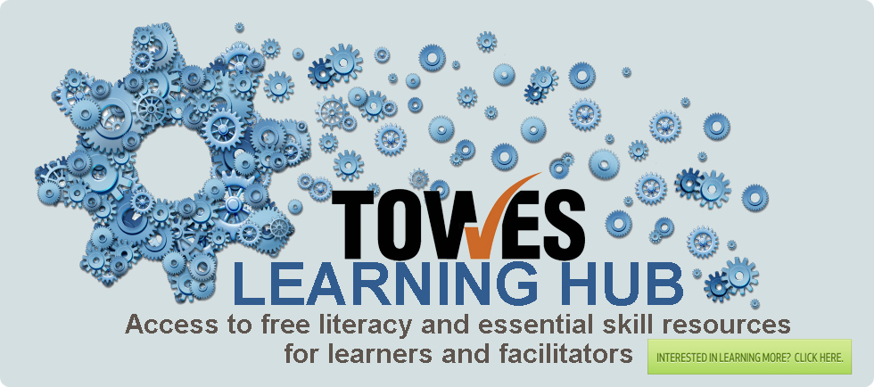 TOWES Learning Hub